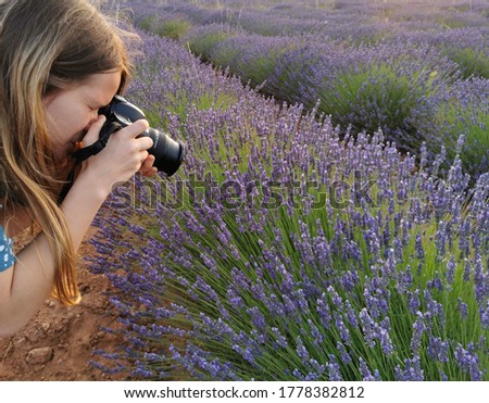 Girl takes pictures of lavender bushes on lavender field