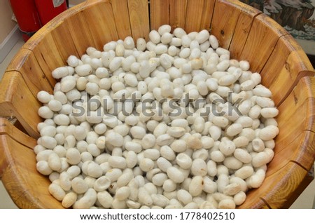 a tub full of silkworm cocoon ready for silk extraction 