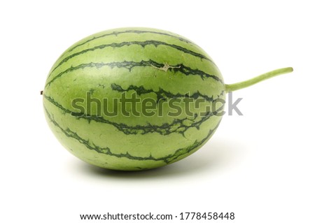 watermelon on a white background 