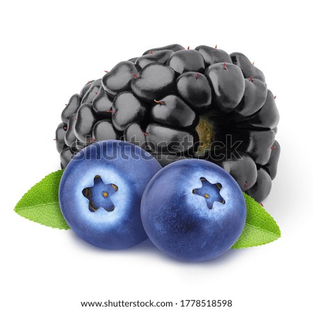 Colourful composition with forest berries - blueberry and blackberry isolated on a white background with clipping path. As package design element.