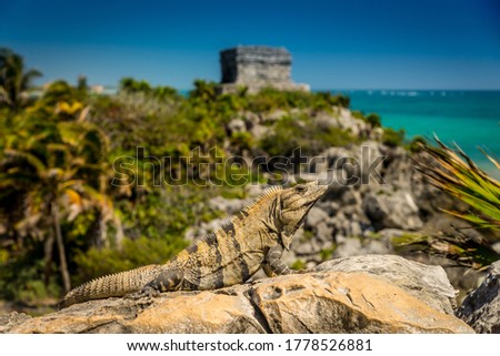 The Tulum ruins situated in a picture-perfect location on the Caribbean coastline