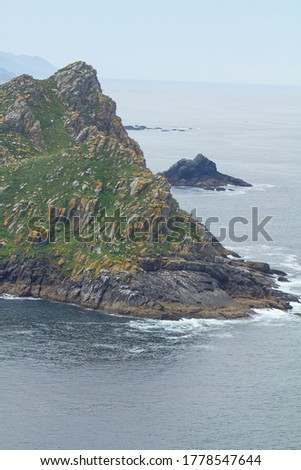 Island Cíes National Park, Vigo, Cliffs with its green trees.