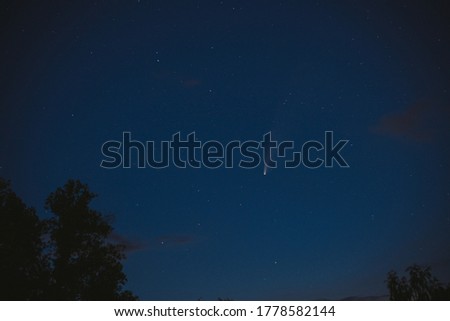Comet Neowise & stars on clear sky at night. Trees silhouettes on foreground
