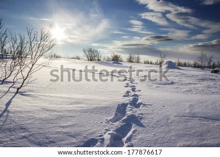 human footprints in the snow Royalty-Free Stock Photo #177876617