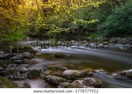 A rocky river in the wild forests of Latvia
