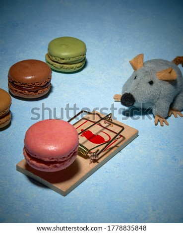 pictures of a sweet French dessert and mouse