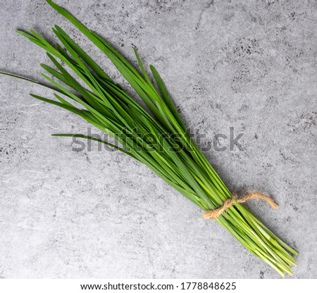 Fresh leek vegetable on gray background
