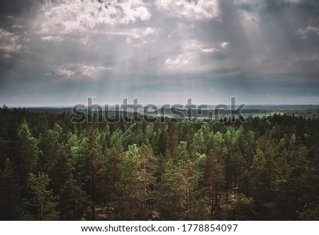 Cloudy sky and green rain forest. In Finland 