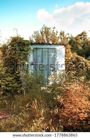 An old door to a basement on a farm wrapped in vines and lush autumn greenery, art processing. Landscape of the countryside.