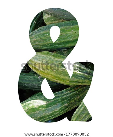 AMPERSAND symbol isolated on a white background – part of an according alphabet set cut out from photographs of fresh vegetables