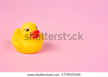 Rubber duck on the pink background.