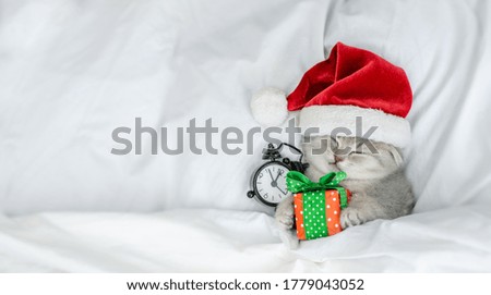 Gray kitten wearing red santa's hat sleeps under blanket with gift box and alarm clock. Top down view. Empty space for text