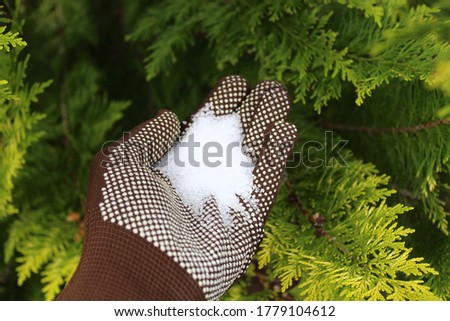 epsom salt in a hand with gloves Royalty-Free Stock Photo #1779104612