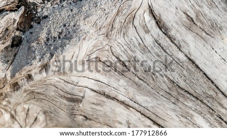Old and natural wood texture on a beach for background.