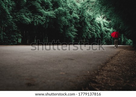 one people hold Red umbrella on a street in the park.