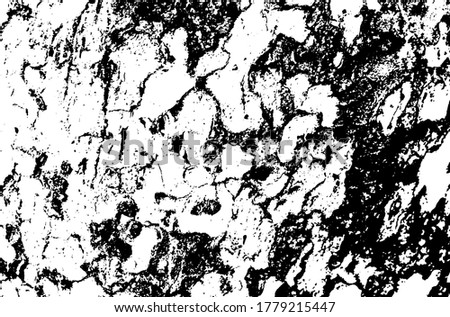 Wooden sycamore texture. Tree wood material.Grunge texture. Grunge black and white vector overlay. Grungy grainy surface.