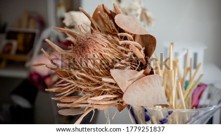 Beautiful dry flower arrangement with protea flower