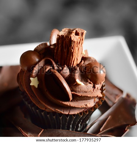 Delicious chocolate cupcake with all the trimmings. Ideal image for your dessert menu design.