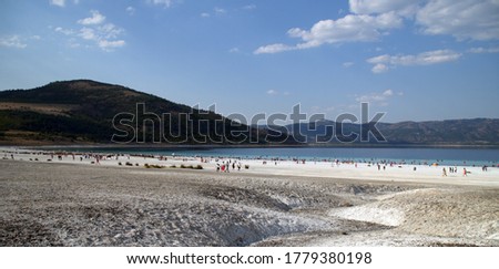 people on beach at daytime photo
