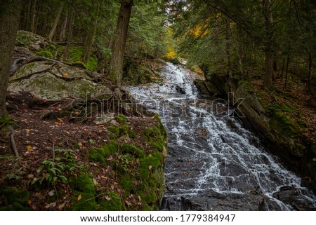 New England Autumn Forest waterfall, Fall colors & Trail