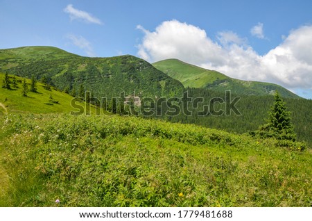 Beautiful view of green slopes of the highest mountain of Ukraine, Hoverla. Carpathian mountains landscape, hiking and travel