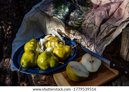 tree stump with plate of pears and cloth map in forest