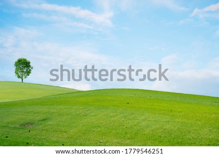 The green fields are beautifully stacked with white clouds, blue skies and trees.