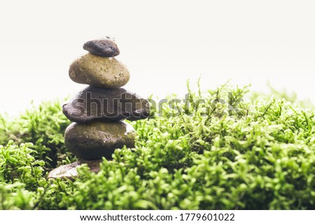 Stack of zen stones in green moss on white background. Natural backdrop for your design. Wet pebble with water drops