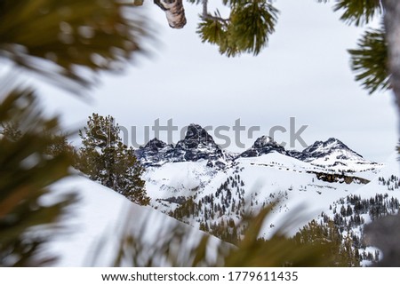 Beautiful Landscape of Grand Teton Mountains 