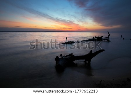 Beautiful spring landscape with sea coast, colorful sunset sky and log or snag. 