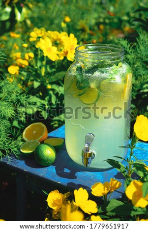 Refreshing lemonade in a tall decanter next to a lemon, lime on a chair in a blooming garden. Horizontal position, space for text
