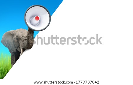 Elephant trumpeting with a megaphone. Advertisement concept with copy space for your text.