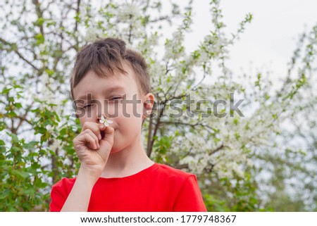 A teenage European boy in a red t-shirt sniffs white plum flowers on a tree in spring. The child enjoys the warmth and spring.