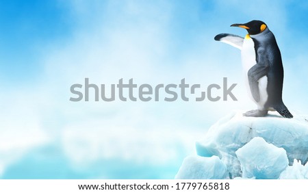 King penguin in an iceberg pointing its flipper wing to empty space