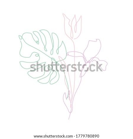Decorative hand drawn tulip, iris, monstera, design elements. Can be used for cards, invitations, banners, posters, print design. Continuous line art style