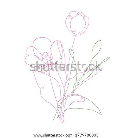Decorative hand drawn tulip flowers, design elements. Can be used for cards, invitations, banners, posters, print design. Continuous line art style