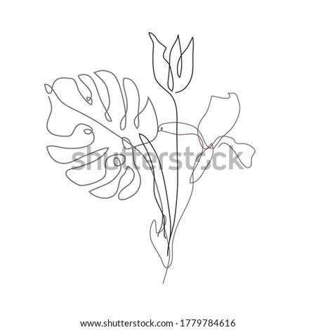 Decorative hand drawn tulip, iris, monstera, design elements. Can be used for cards, invitations, banners, posters, print design. Continuous line art style