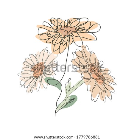 Decorative hand drawn chamomile flowers, design elements. Can be used for cards, invitations, banners, posters, print design. Continuous line art style