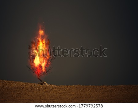 An image of a burning thorn bush christian symbol Royalty-Free Stock Photo #1779792578