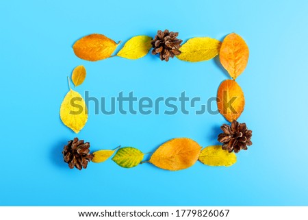 Frame of yellow and orange fallen leaves and cones on a bright blue background. Autumn concept. Creative background or postcard. Copy space, top view, minimalism.