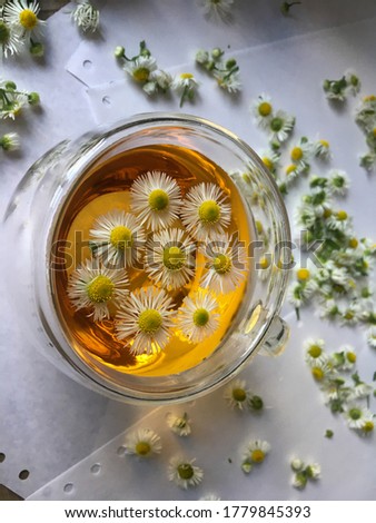 herbal tea with chamomile in a transparent cup