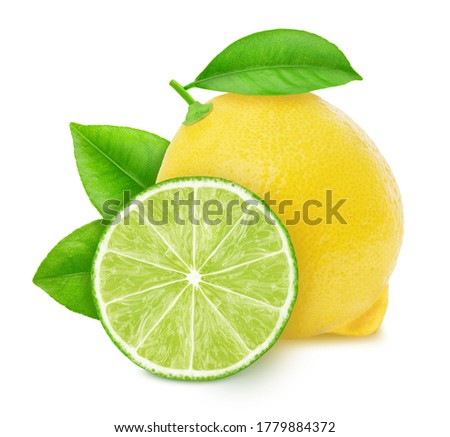 Citrus fruits composition isolated on a white background in full depth of field with clipping path.