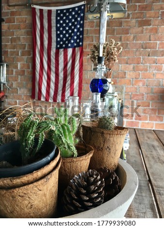 Plants in pots with American flag on the red brick wall and scientific instruments as a background indoor