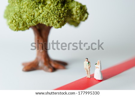 Couple of two people who get married in the big trees