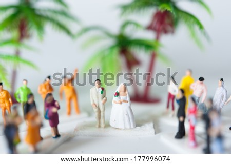 The image in miniature tropical resort wedding