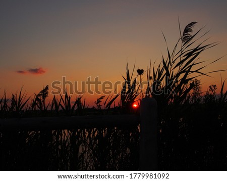 Long Beach Island NJ Sunset