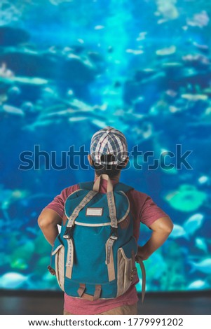 A young man with backpack looking at fish in a tank at the aquarium.