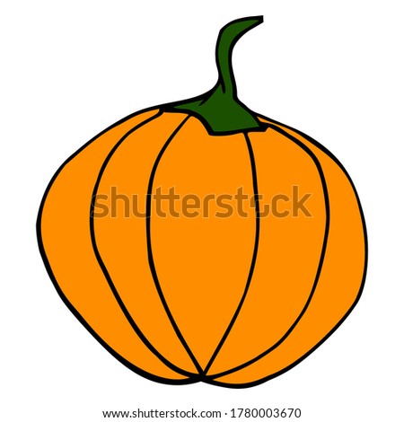 Hand drawn pumpkin illustration. Single element isolated on white background. Line art, vector eps10. Can be used for greeting cards, halloween decoration, organic natural food design.
