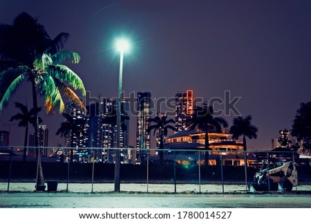 Palm tree and skyscrapers in Miami at night. Southern Florida, USA