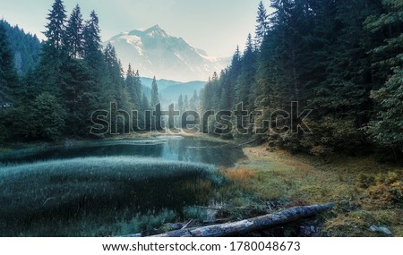 Fabulous misty morning scene of nature. View of Forest lake in highland with rocky peak on background. Stunning wild nature during sunrise. Amazing natural summer scenery Creative image for design Royalty-Free Stock Photo #1780048673